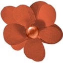 flowerorange