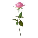 romantic_illusion_molemina_el (99)