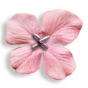 jennyL_days_summer_flower6