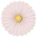 light pink flower