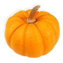 BD_Pumpkin_03