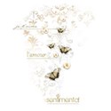 butterfly cluster