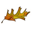 DZ_Abundance_leaf8