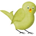 bird6
