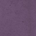 purple 1