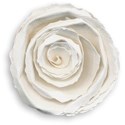 Flower 01