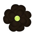 flowerbrown