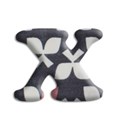 xx