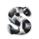 ss