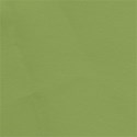 OneofaKindDS_BJandRoses_BG 06