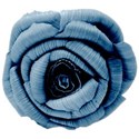 flowerblue