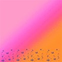 bg pink orange bf
