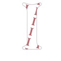 II