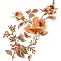flowers3
