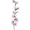 Flower 02