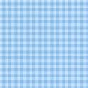 bg gingham blue