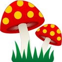 mushrooms2