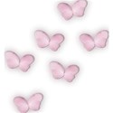celinedesigns_collabfevrier11