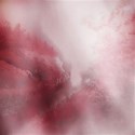 dydyge_pap03