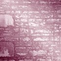 genedes-papier2