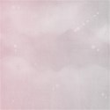 chouk77_paper04