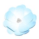 blue flower