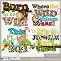 kitc_zoo_swordpre
