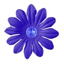 flower 6