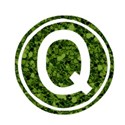 Q