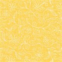 Resizeable BG 17