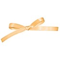 ribbon bow 1b