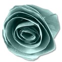 flowerblue