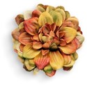 Flower 01