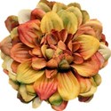 Flower 01