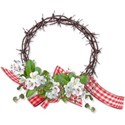 apple blossom frame 