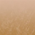 jThompson_lazy_paper6