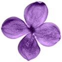 chey0kota_Thankful_ele (81)