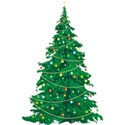 tree (221)
