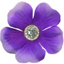 flower purple