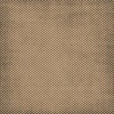 lisaminor_today_paper_c