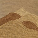 lisaminor_letsride_sandpaper