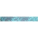 Lace Teal