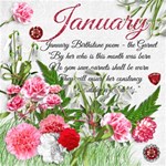 Birthday Collection ~ January Birthday Collection ~ January