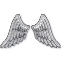 wings