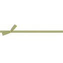 rib1