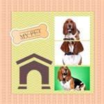 Pet p01 Pet p01