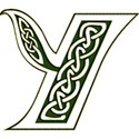 Y