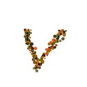v