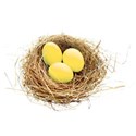 chey0kota_Easter_Ele (88)