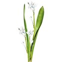 chey0kota_Spring_Ele (19)